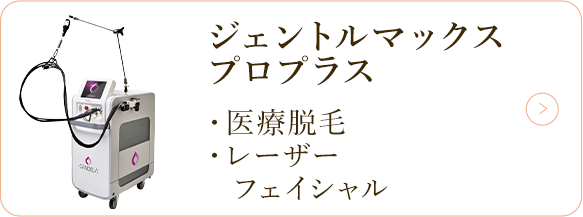 ジェントルマックスプロプラス