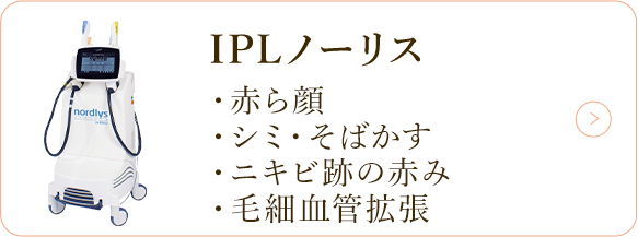 IPLノーリス