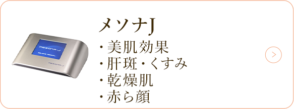 メソナJ