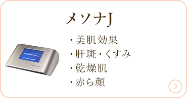 メソナJ
