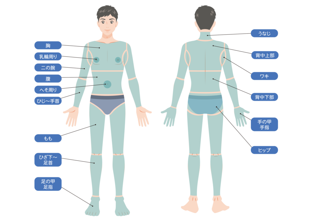 男性　全身