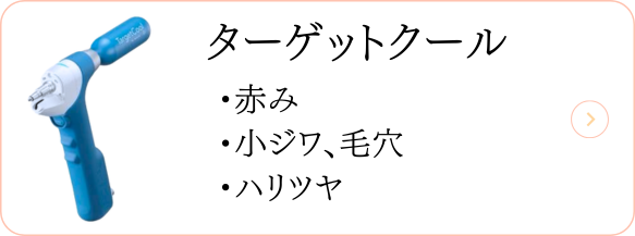 ターゲットクール